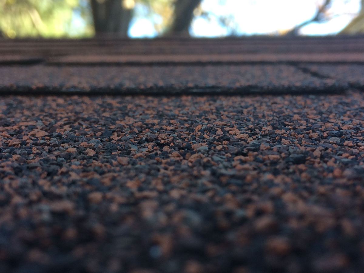 Licensed stock photograph: a close view along a course of asphalt shingles, the granules sharp in the foreground and trees blurred beyond the ridge.